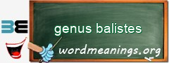 WordMeaning blackboard for genus balistes